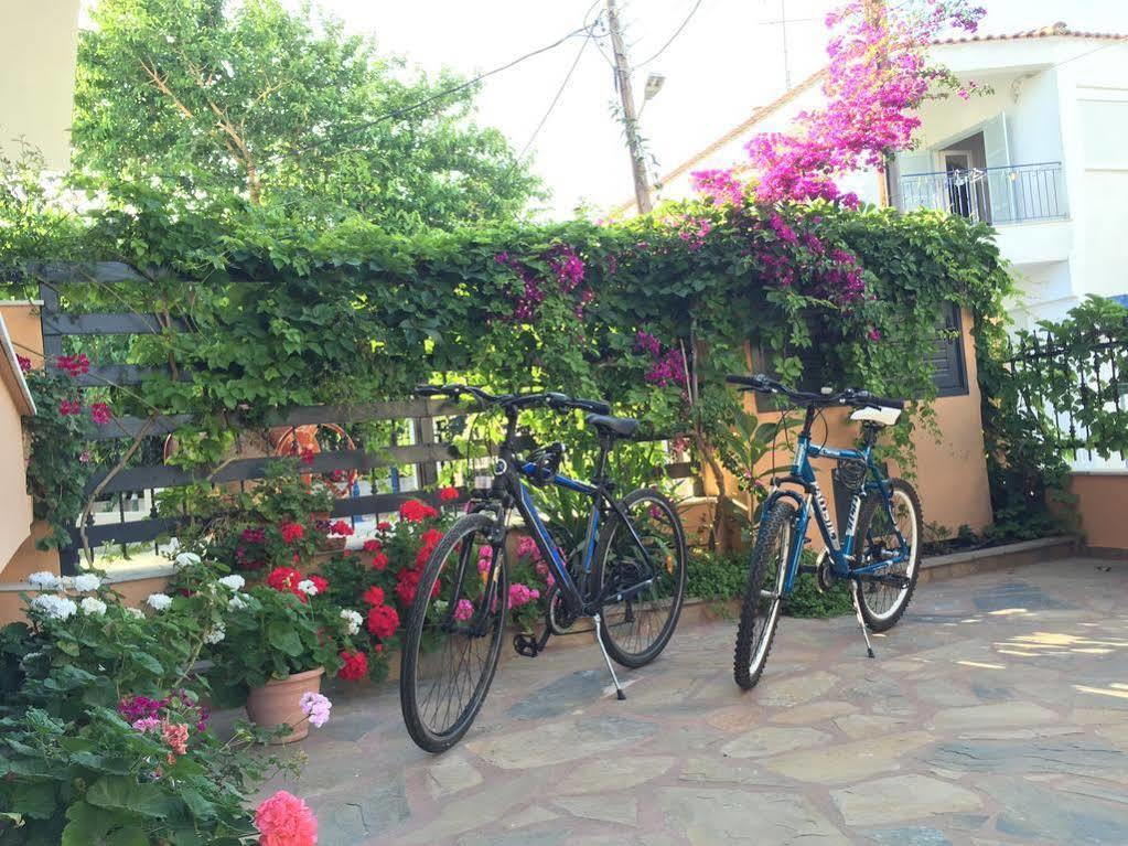 Villa Despina Green Suites 波利克罗诺 外观 照片